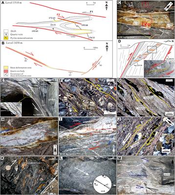 Late Triassic E-W striking shear zone and its implication on gold mineralization in the Xiaoqinling area, eastern China